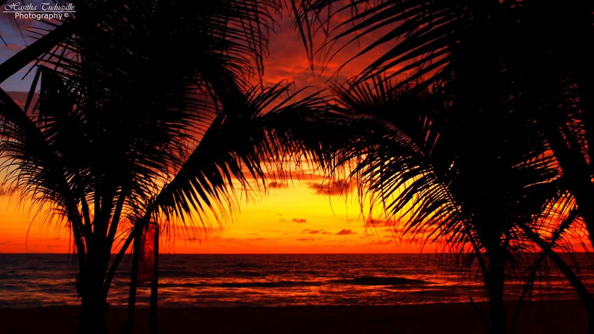 Induruwa Beach