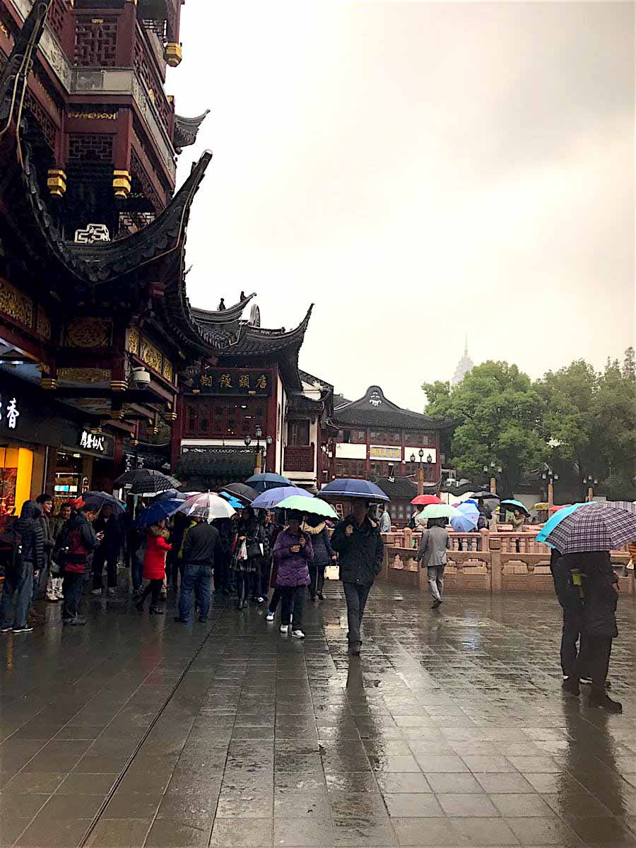 dumplings in shanghai