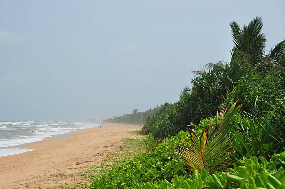 Bentota Beach