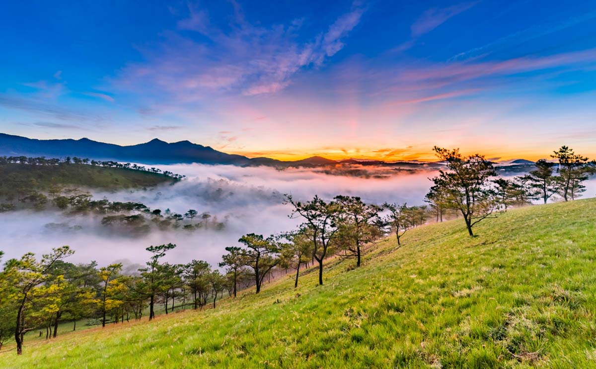 DA LAT, VIETNAM