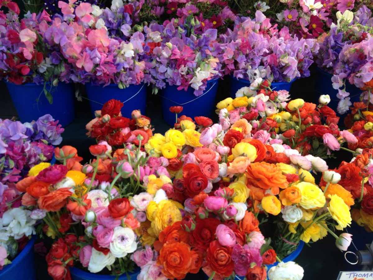 Ferry Building Marketplace