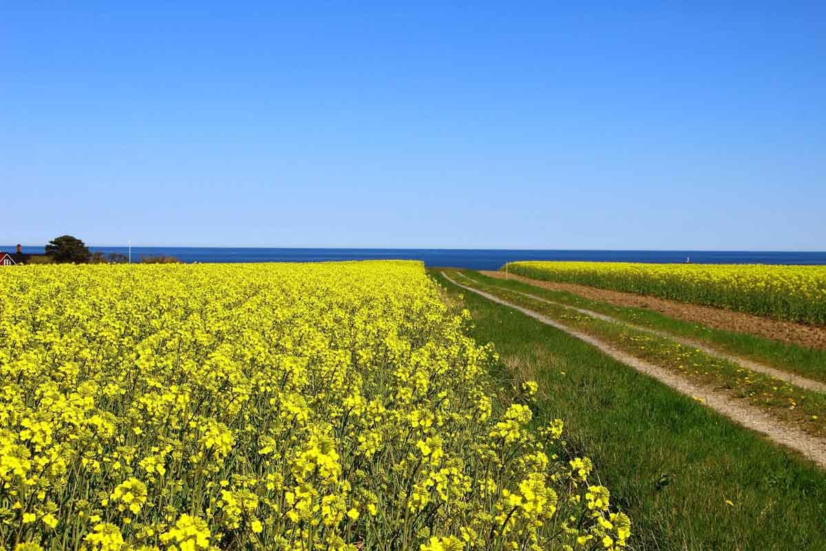 Sweden