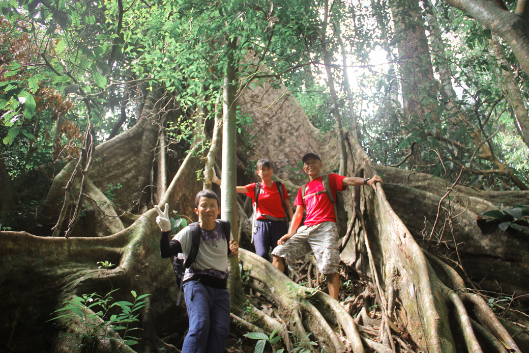 Ambling down a tricky route in Khao Sok National Park