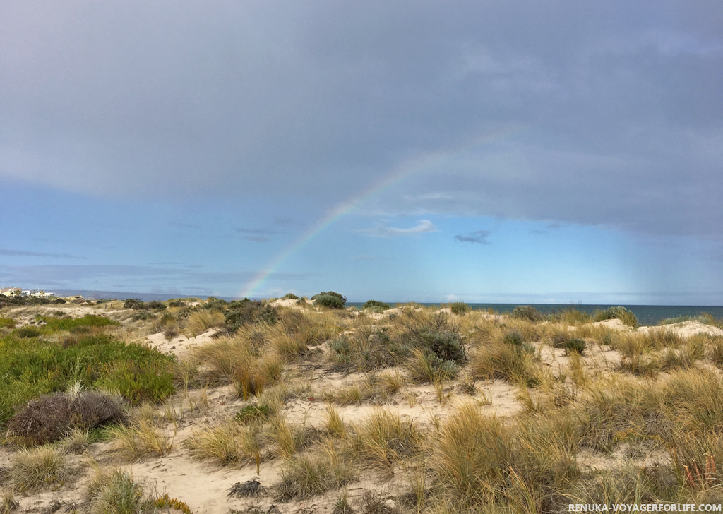 The beachside of Adelaide