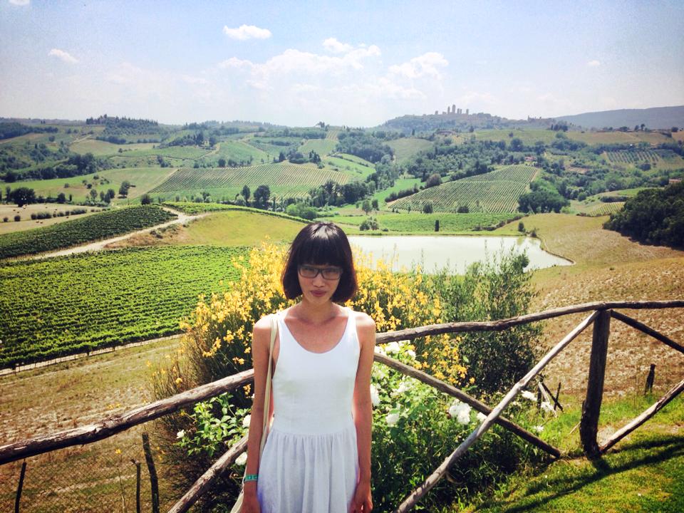 Chianti vineyards