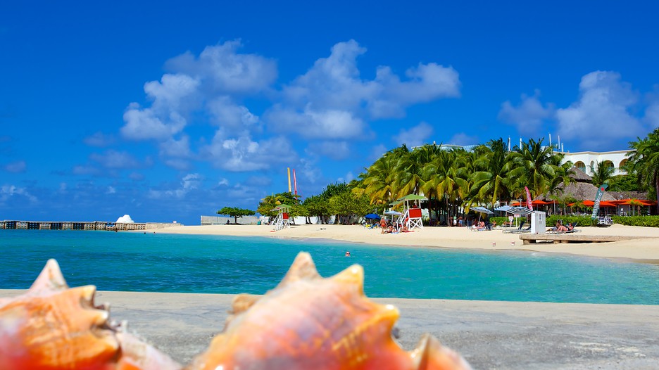 Doctors-Cave-Beach-Caribbean