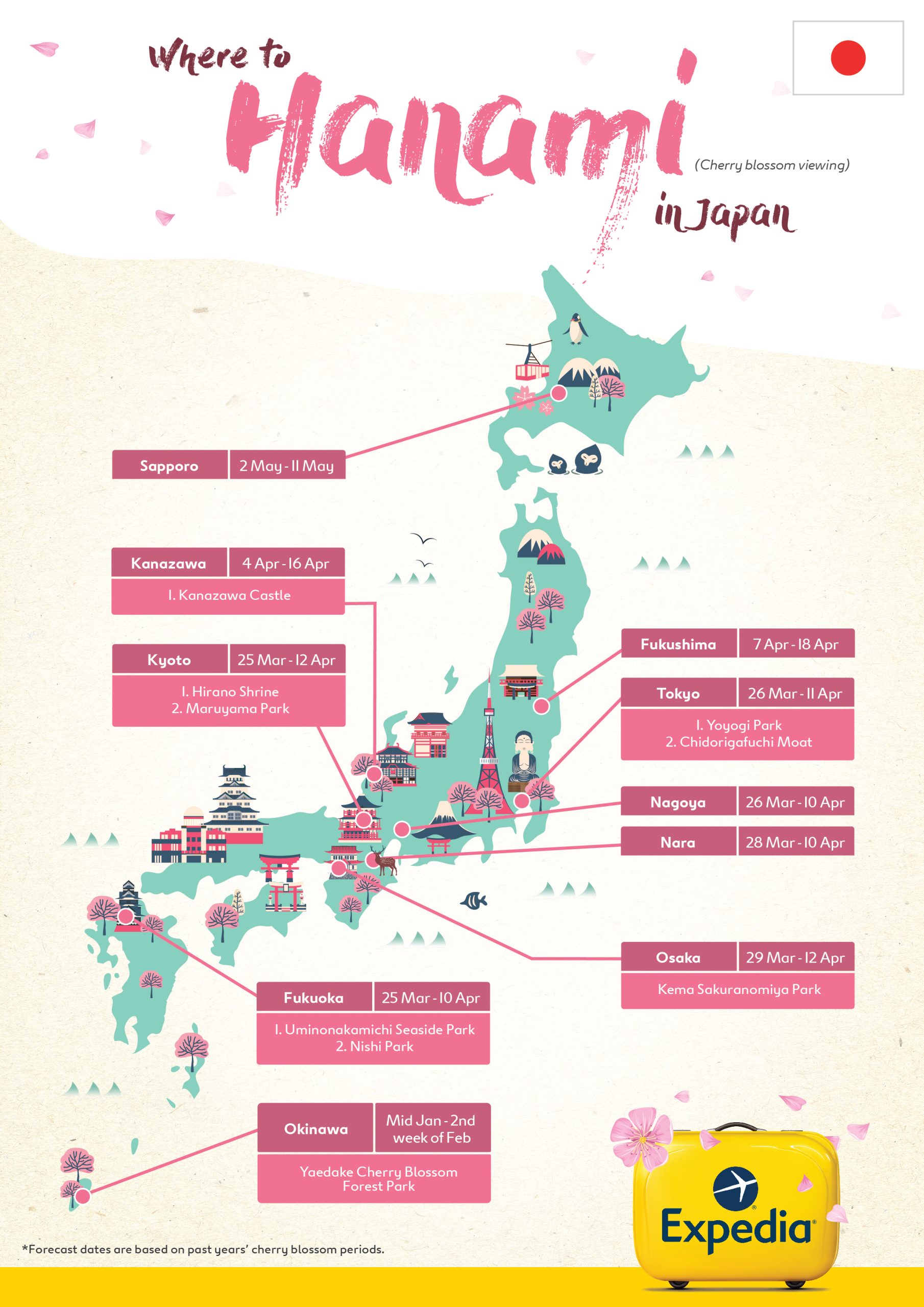 Exp_Cherryblossoms-Japan-infographic