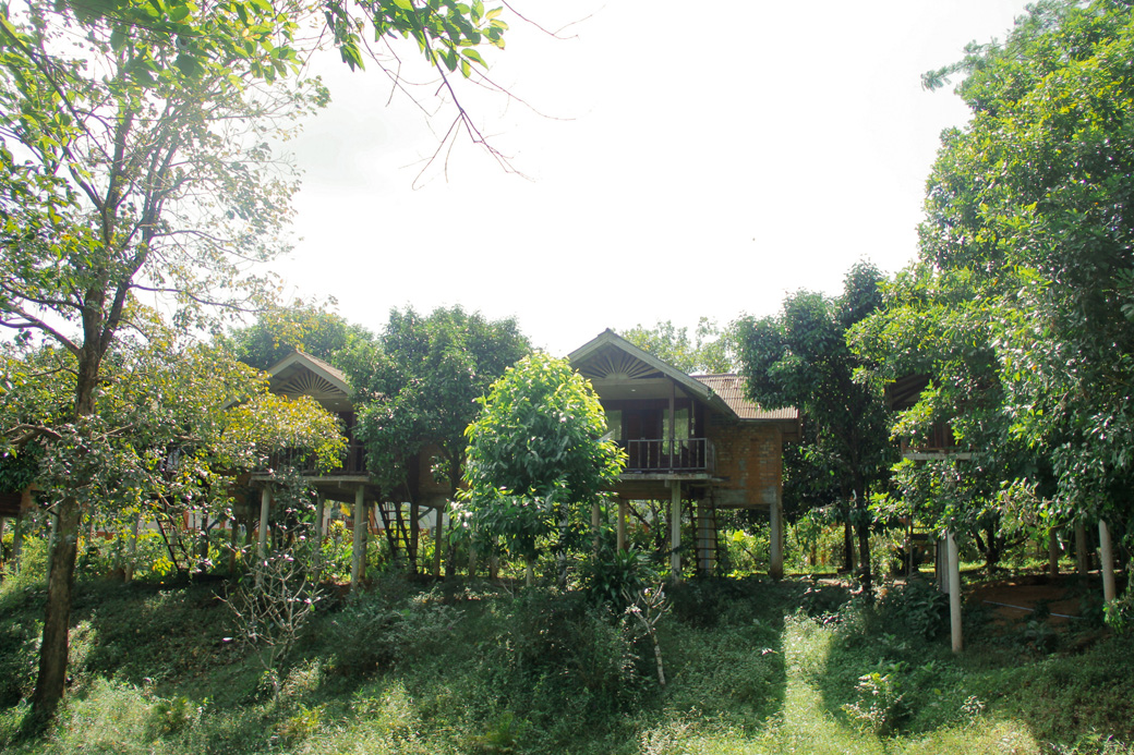 Our accommodation in Khao Sok