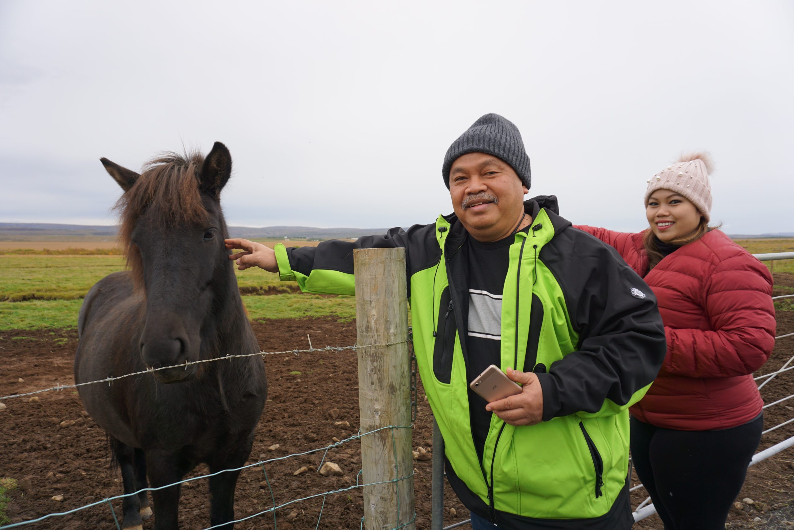 Meeting Icelandic horses along the Golden Circle Route