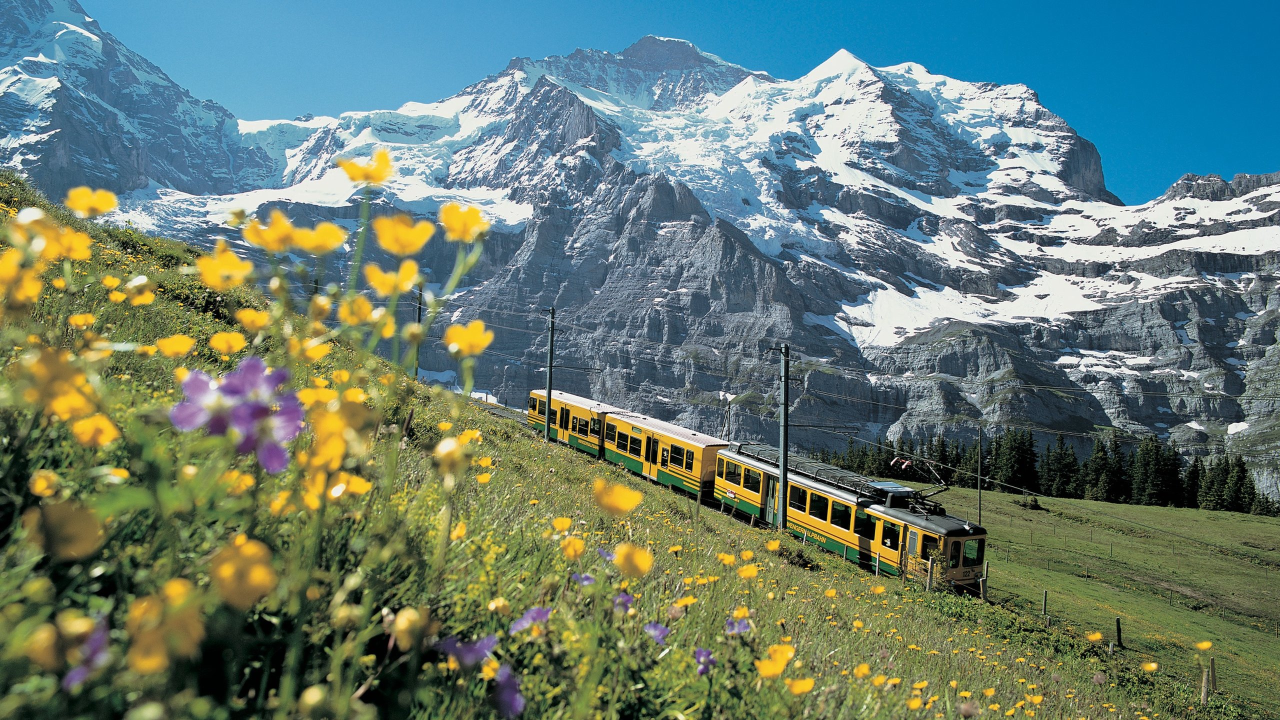 Cogwheel train to Jungfraujoch