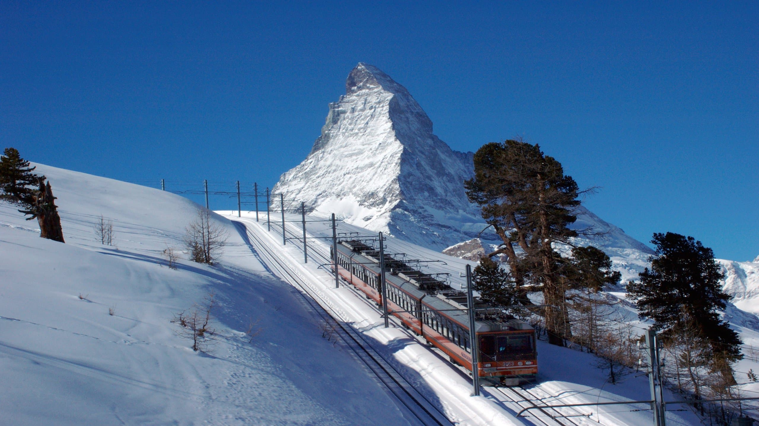 Matterhorn Alpine pea, Switzerland