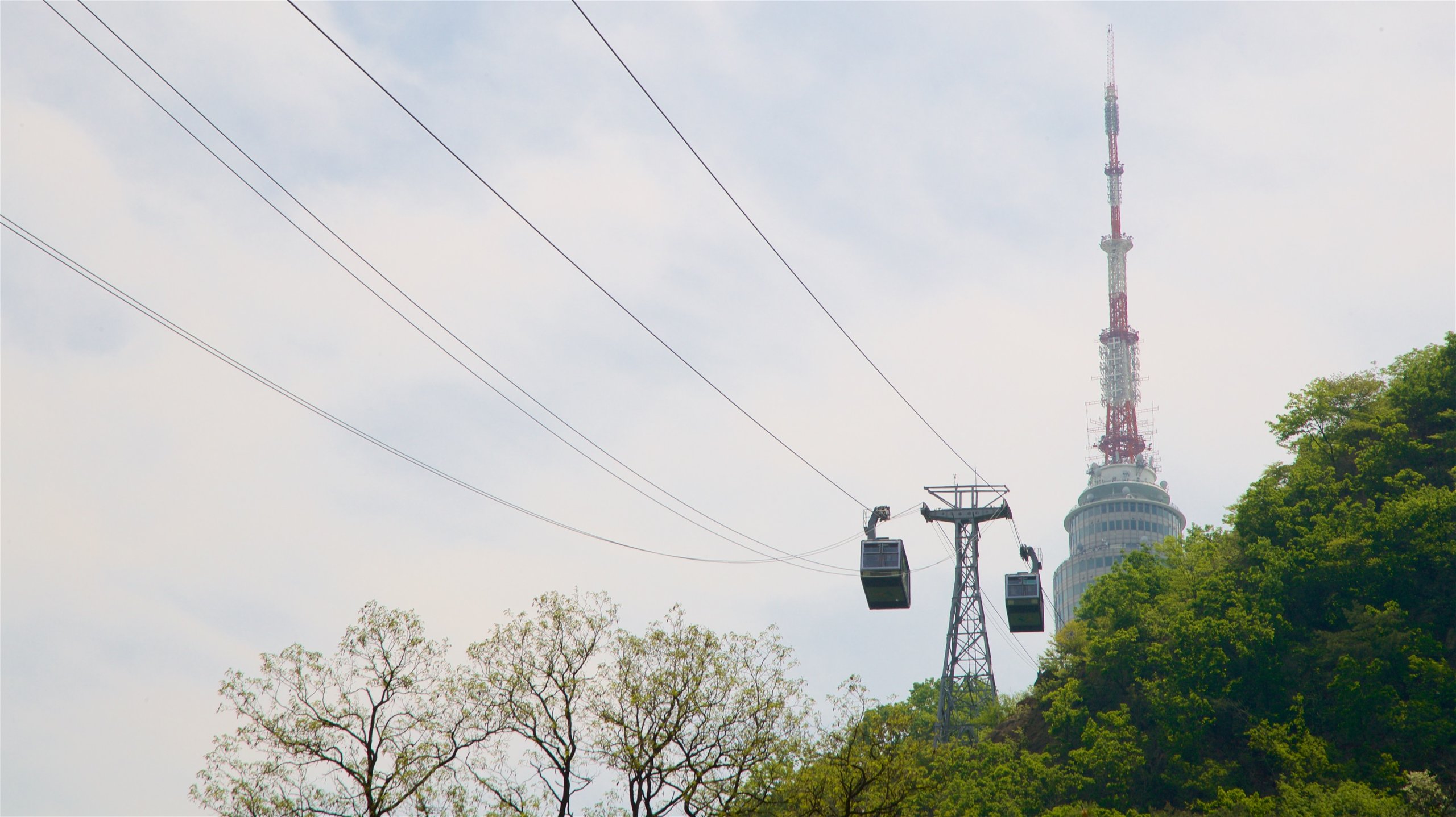cable car leading up to tower surrounded by trees
