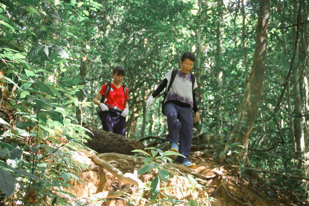 Difficult hiking trails in Khao Sok National Park