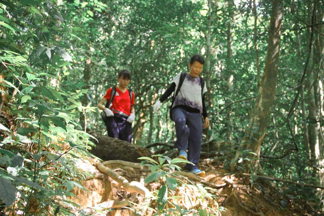 Difficult hiking trails in Khao Sok National Park