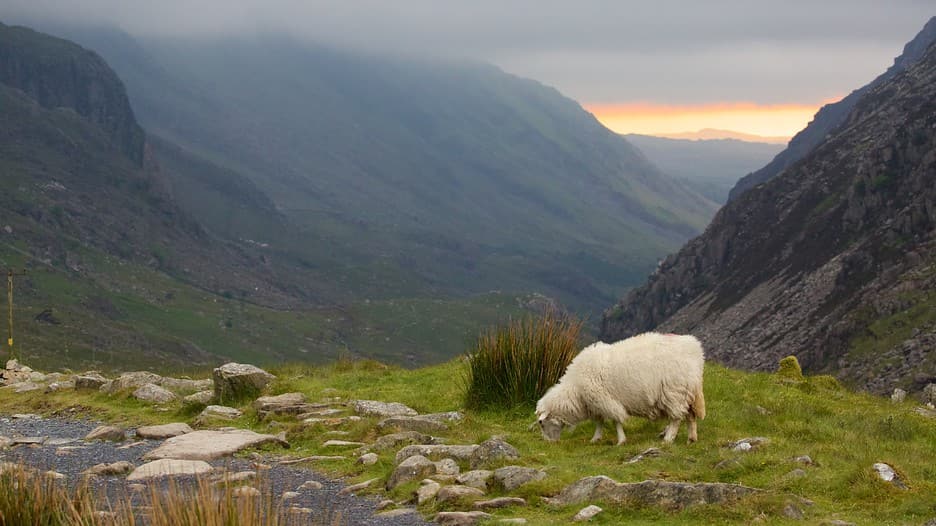 Snowdonia National Park, Wales - Places to visit in UK 