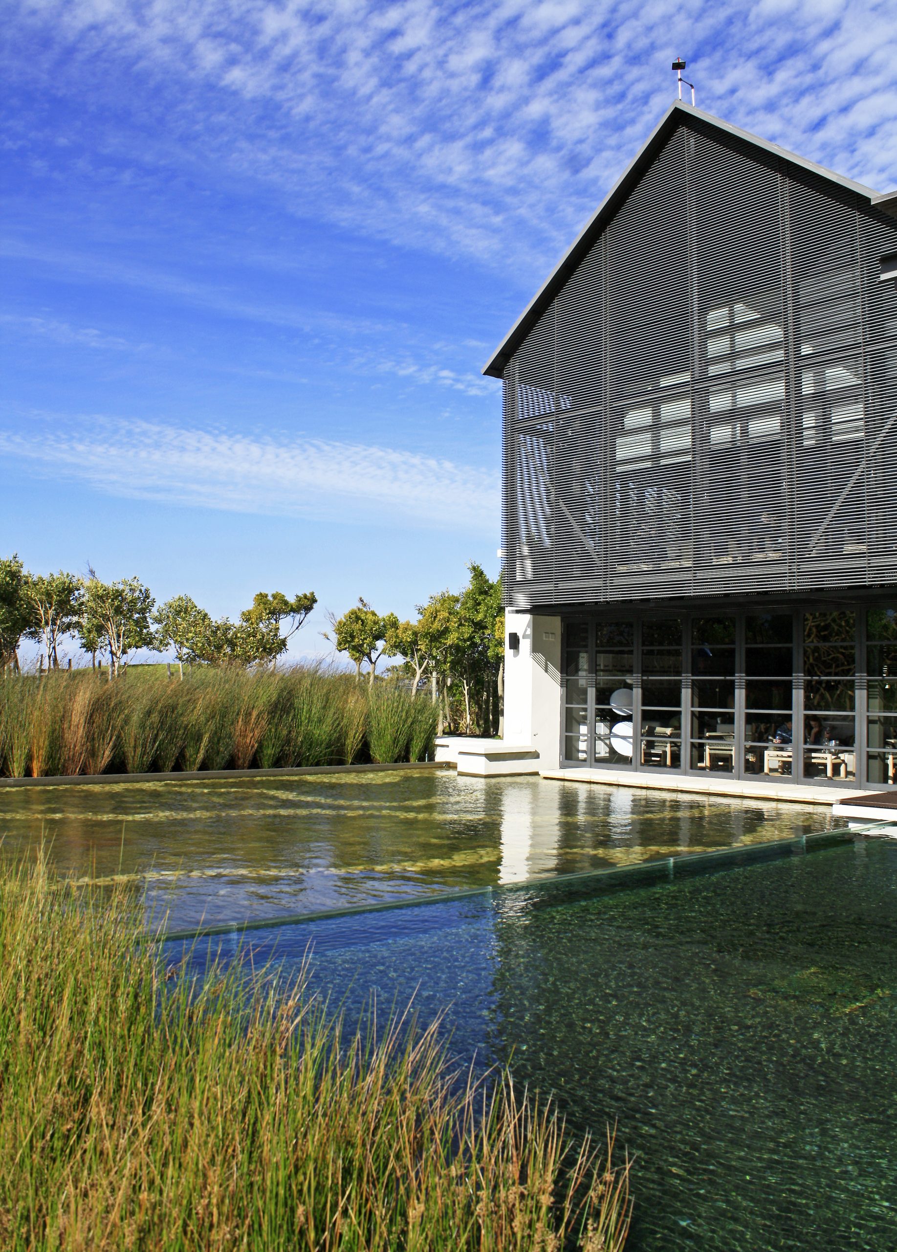 Steenberg Farm vineyard in Cape Town