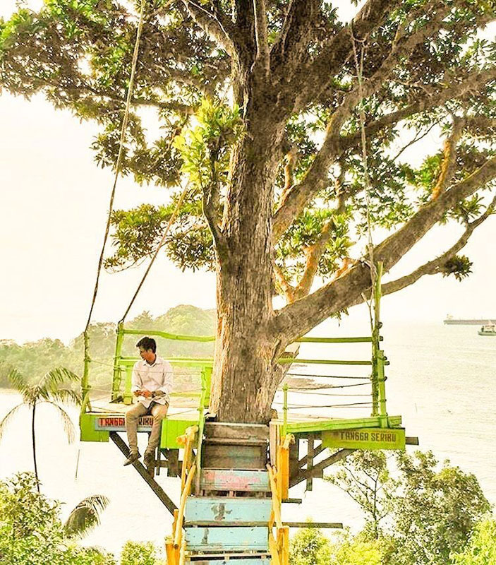 man seated at wooden tree perch at sekupang