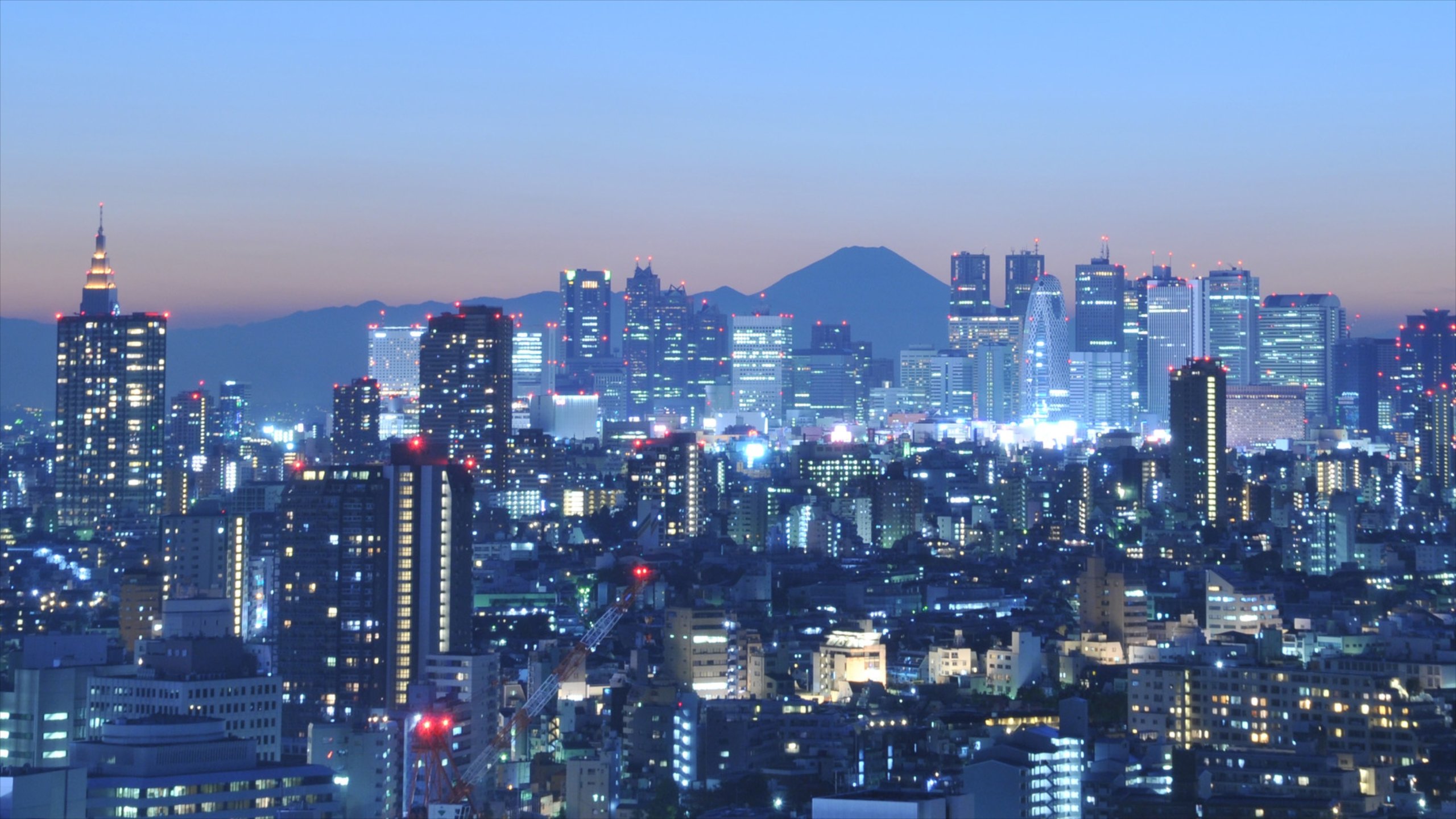 Tokyo cityscape