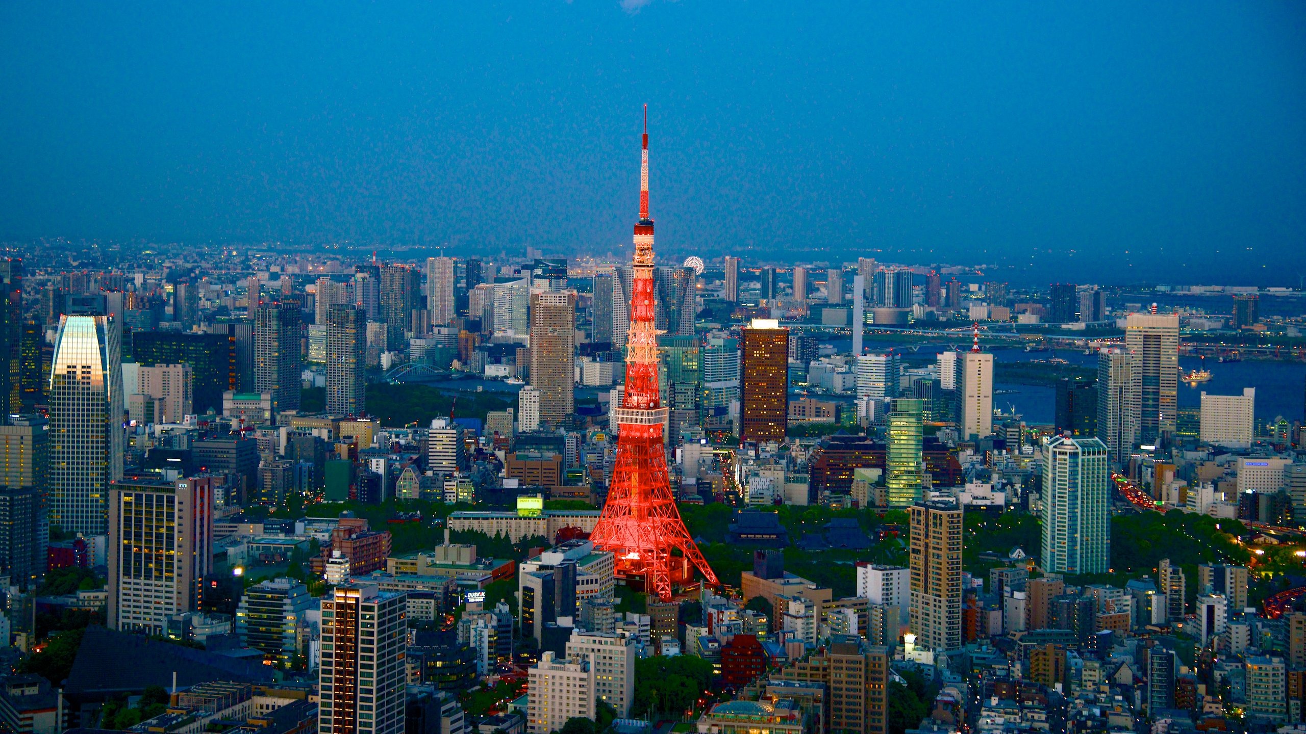 View of Tokyo at night