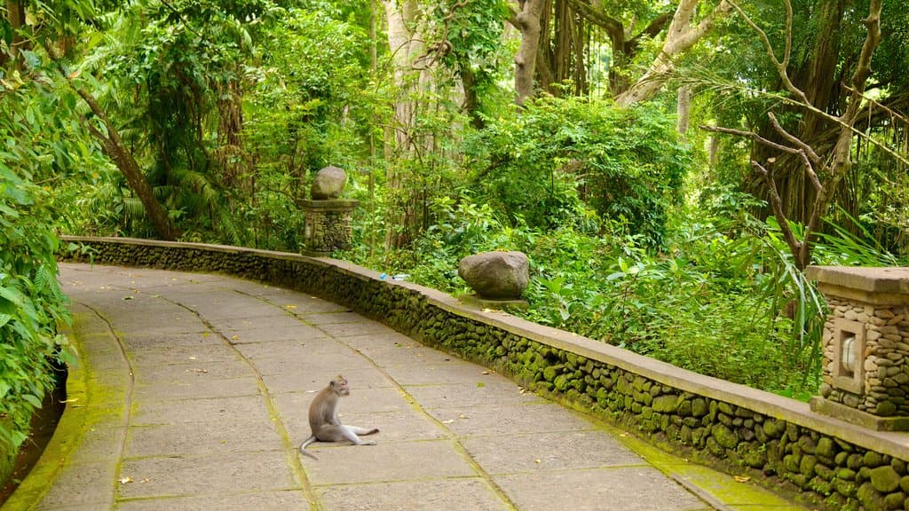 Ubud-Monkey-Forest-Bali