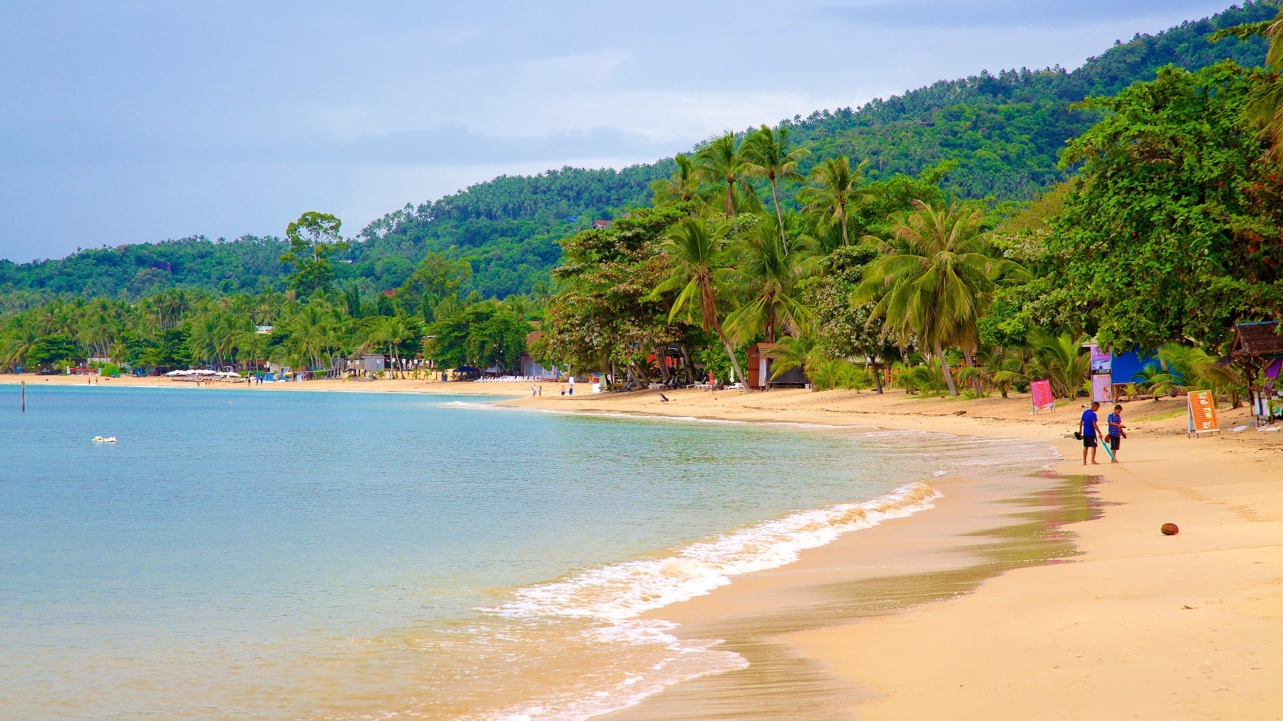 people walking by a beach surrounded by trees
