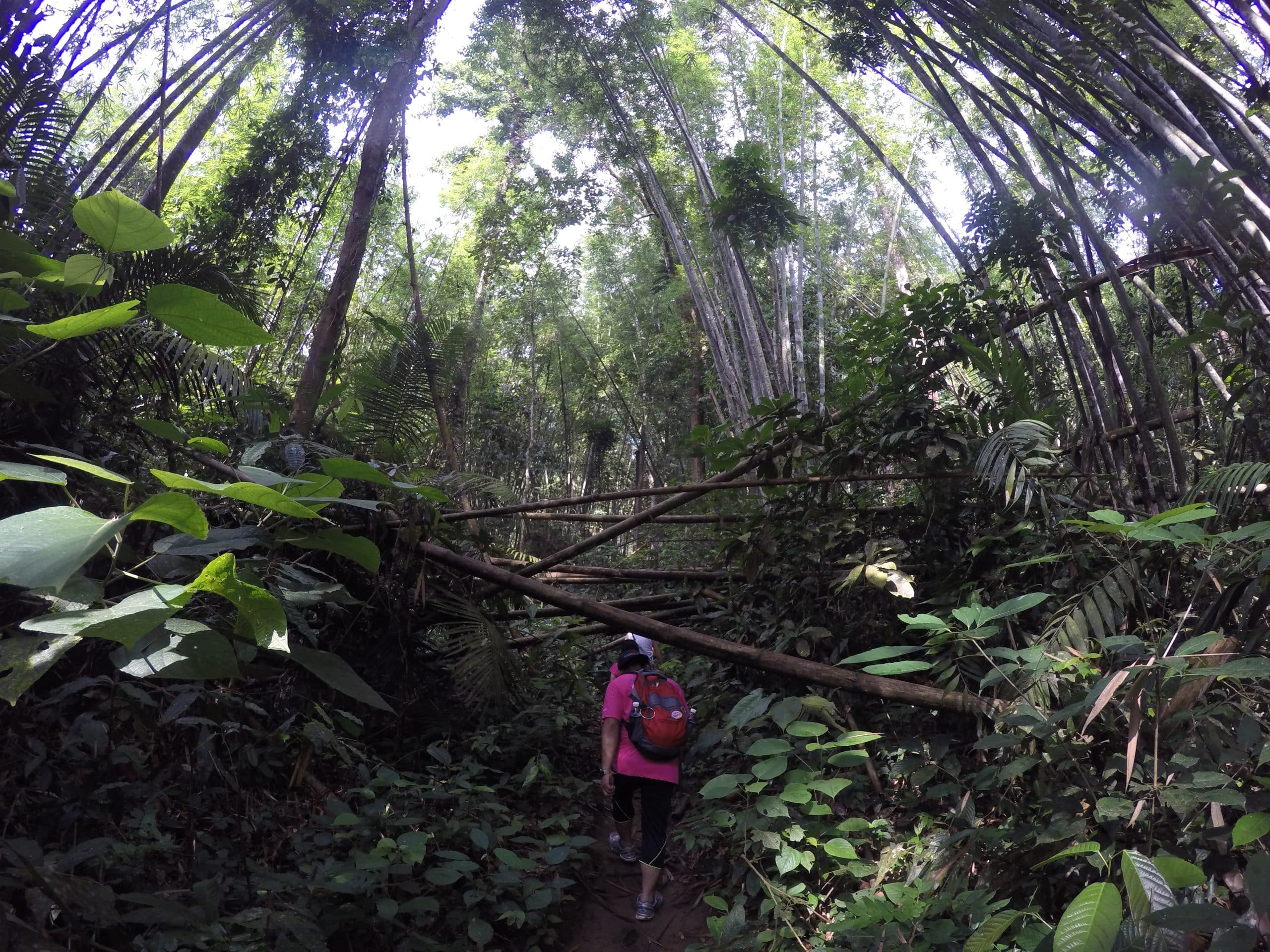 Hiking in Bukit Kutu