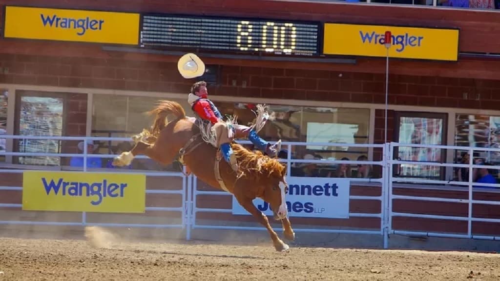 calgary-stampede