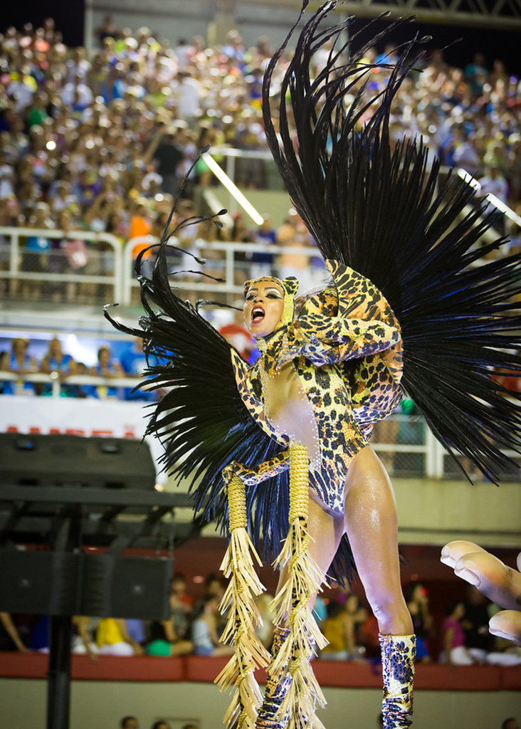 Rio Samba Parade at the Rio de Janeiro Carnival