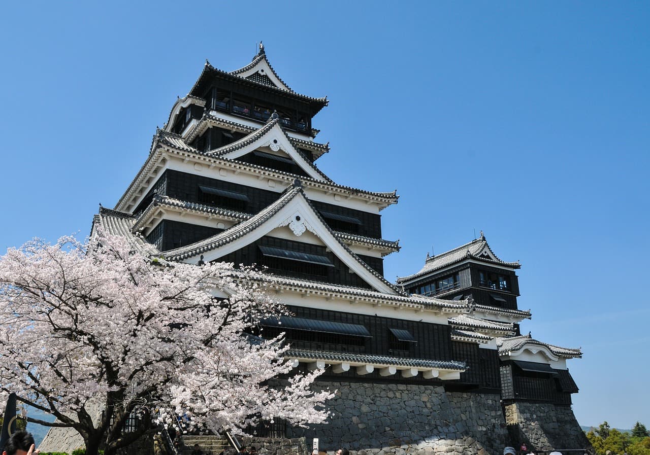 cherry-blossoms-japan