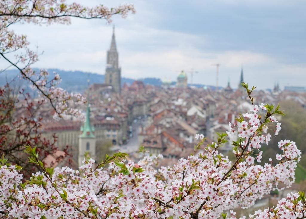 Bern Rose Garden, Switzerland