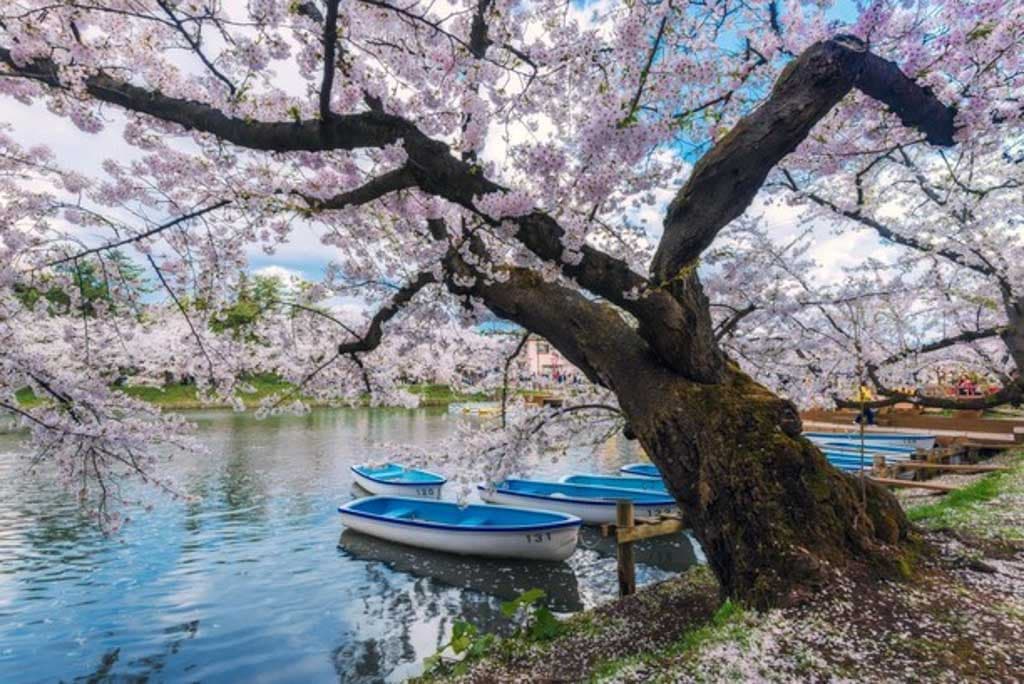 Hirosaki Castle, Japan