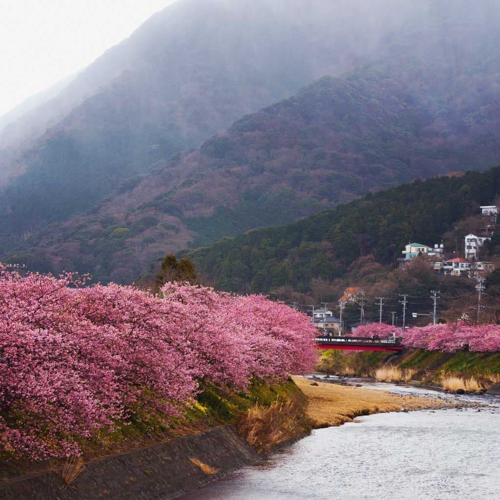 Kamo District, Japan