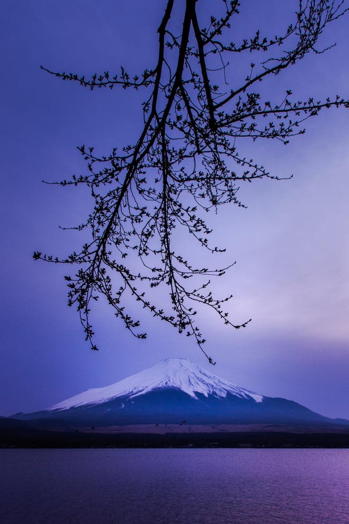 Nagaike Shinsui Park, Lake Yamanaka, Japan