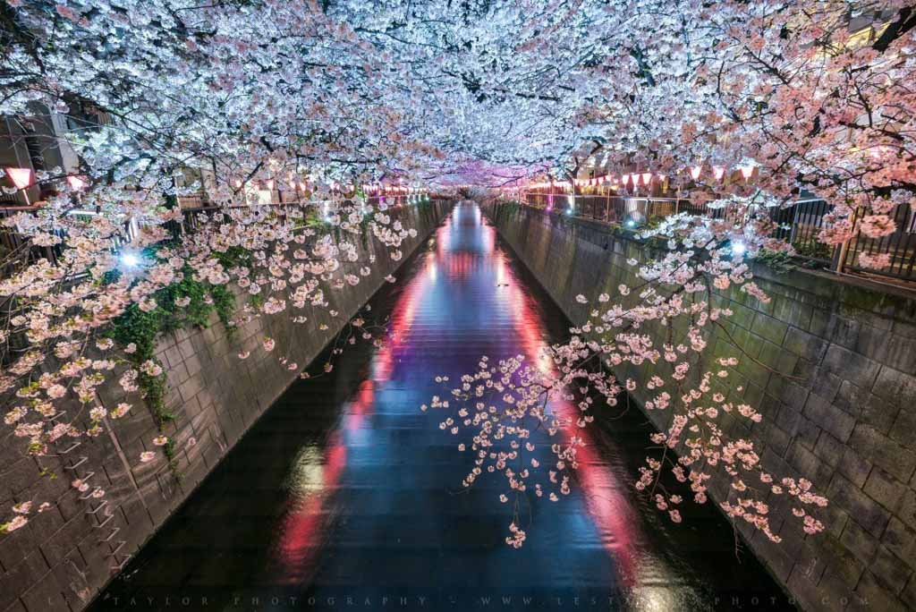 Nakameguro, Tokyo