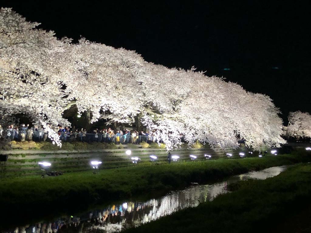 Nori River, Japan