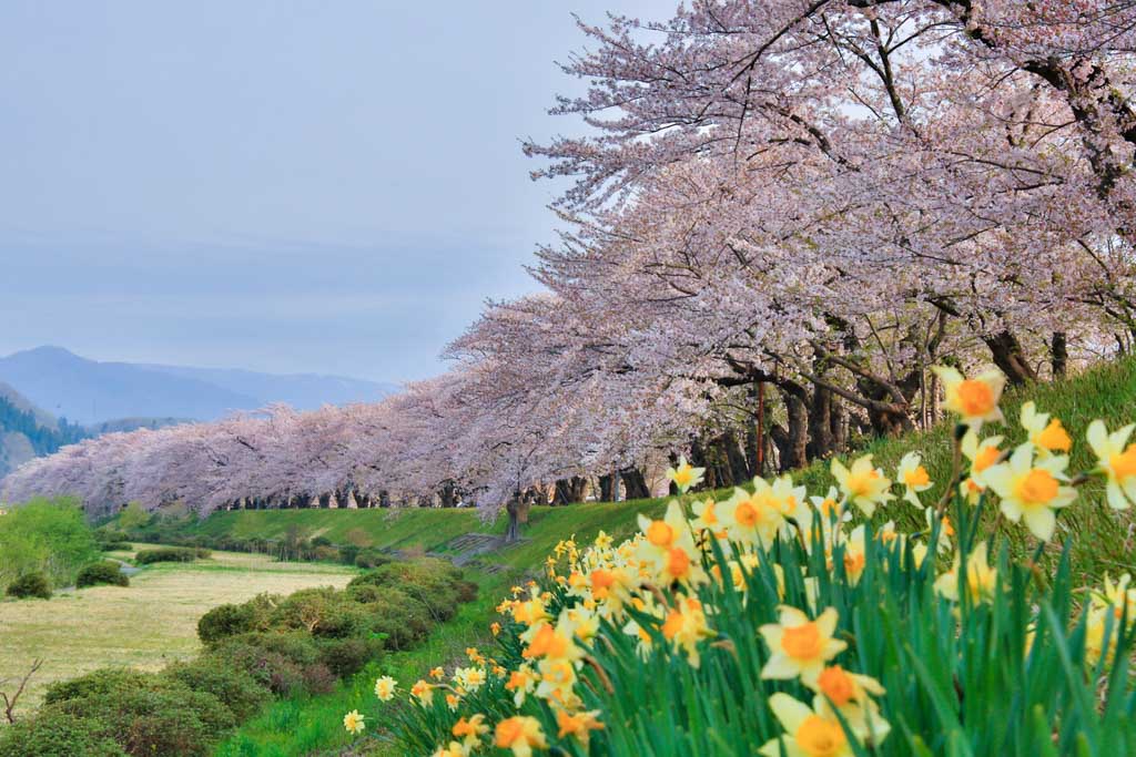 Hinokinai River, Japan