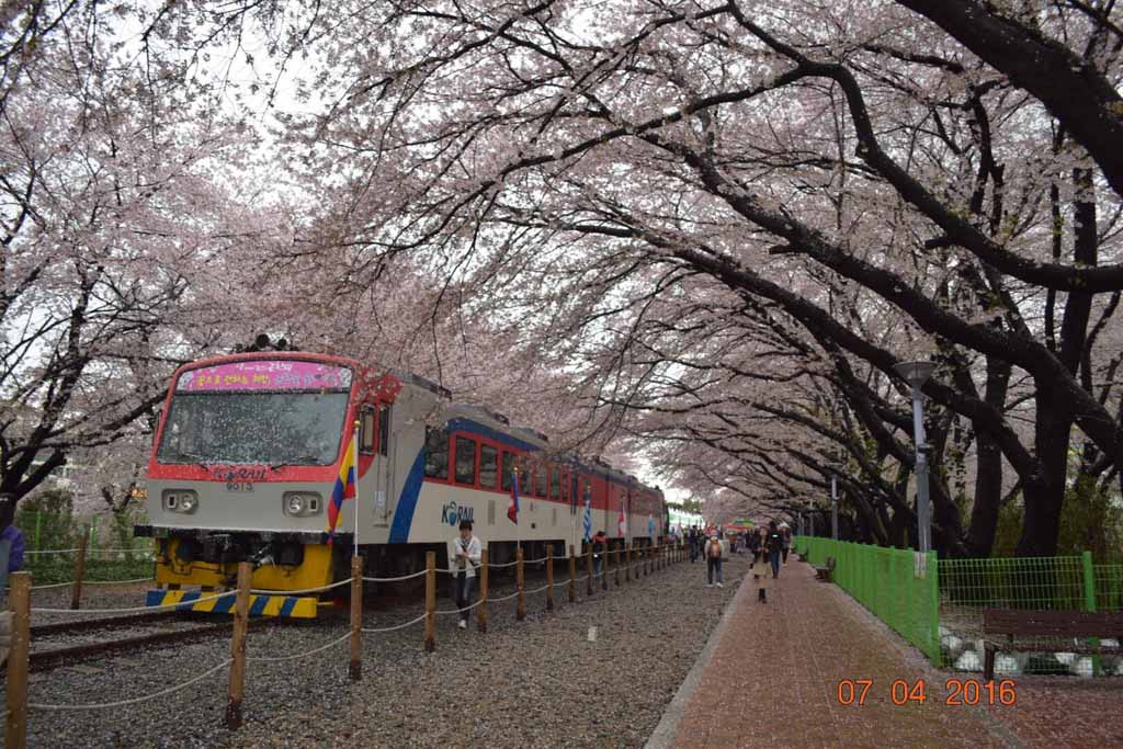 Gyeonghwa Station, South Korea