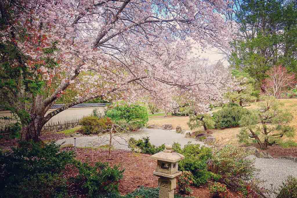 Cheekwood Estate, Nashville, Tennessee