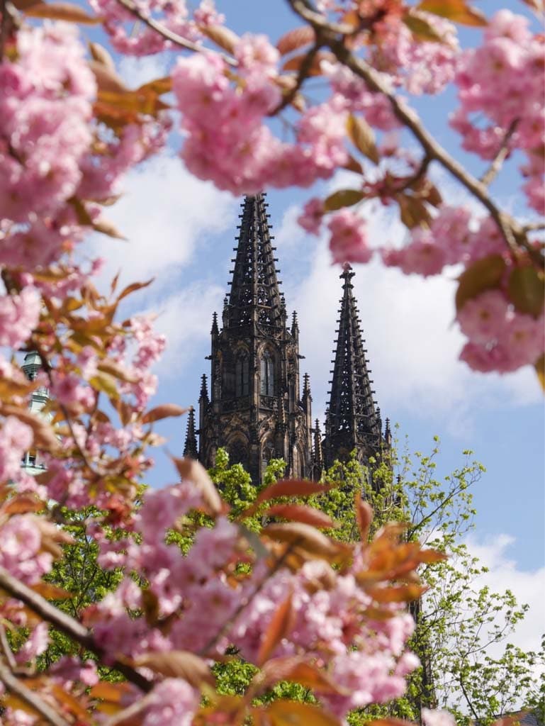 St Vitus Cathedral, Prague