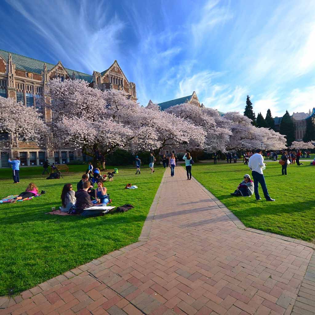 The quad, Seattle Washington campus