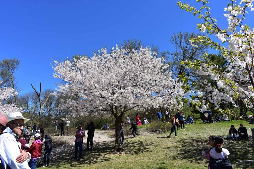 High Park, Toronto