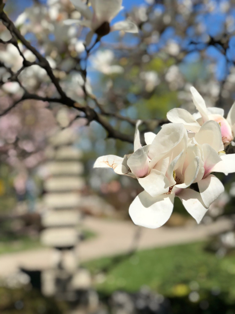 Setagaya Park, Vienna