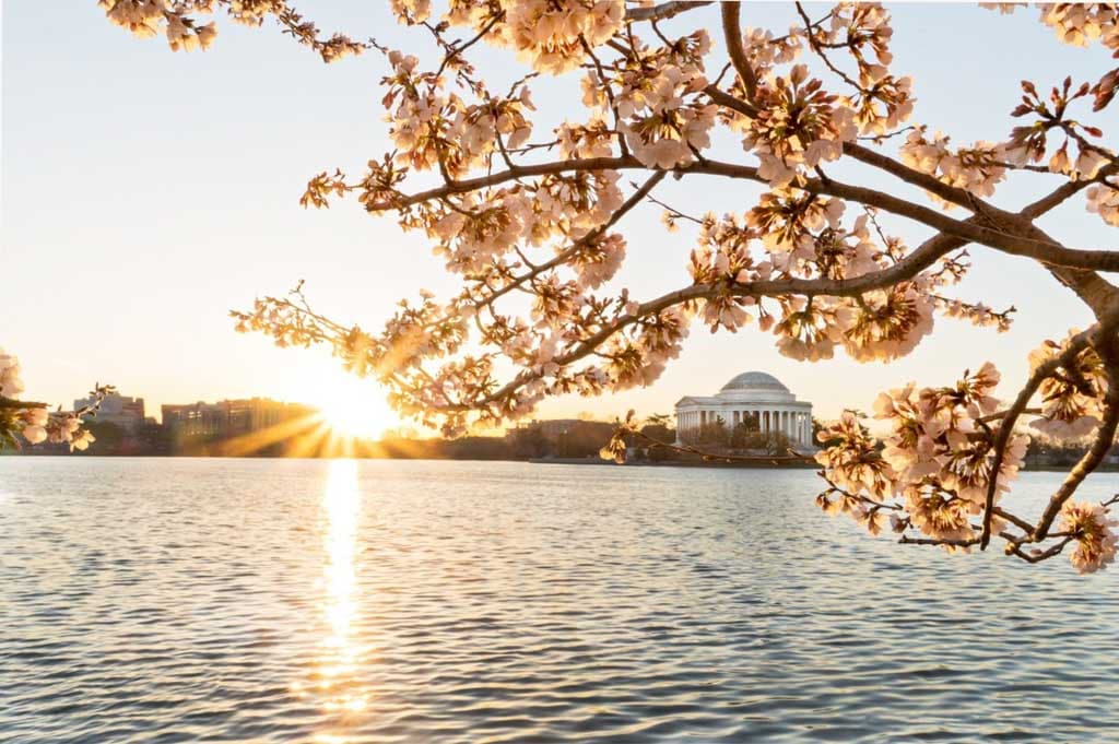 Tidal Basin, Washington DC