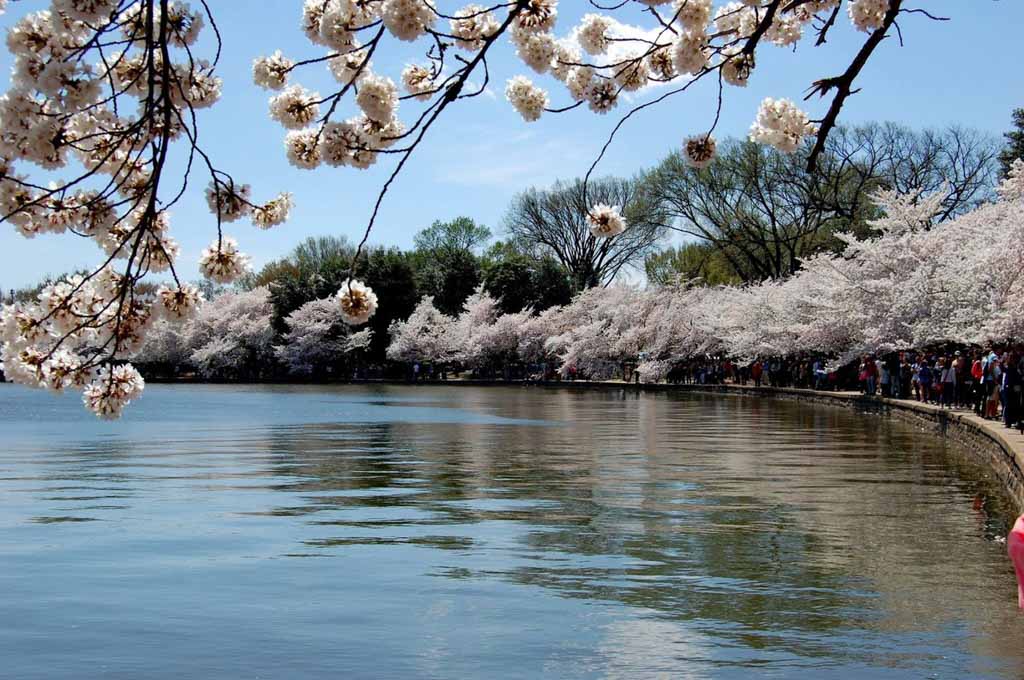 Tidal Basin, Washington DC