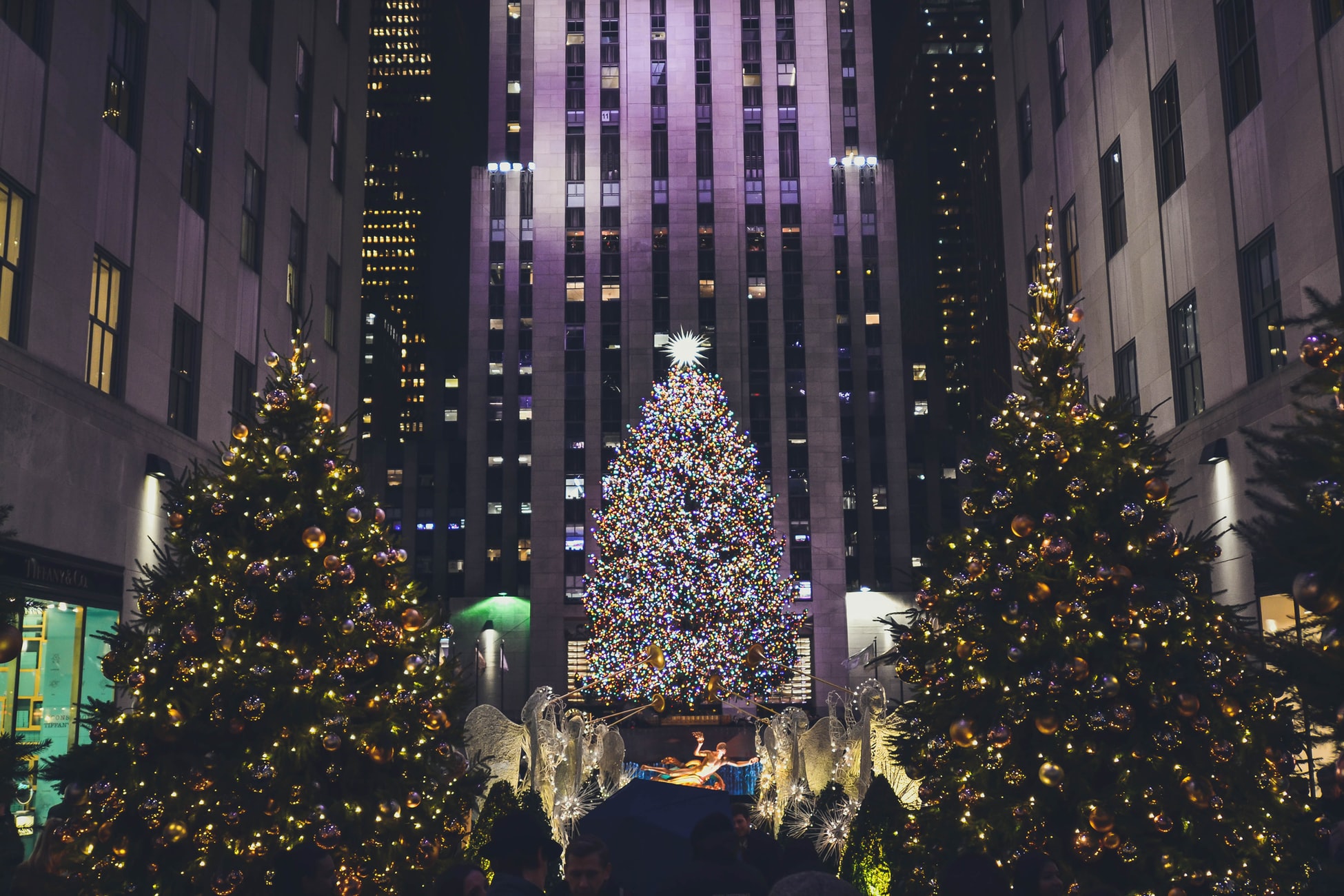 christmas tree at rockefeller centre at night