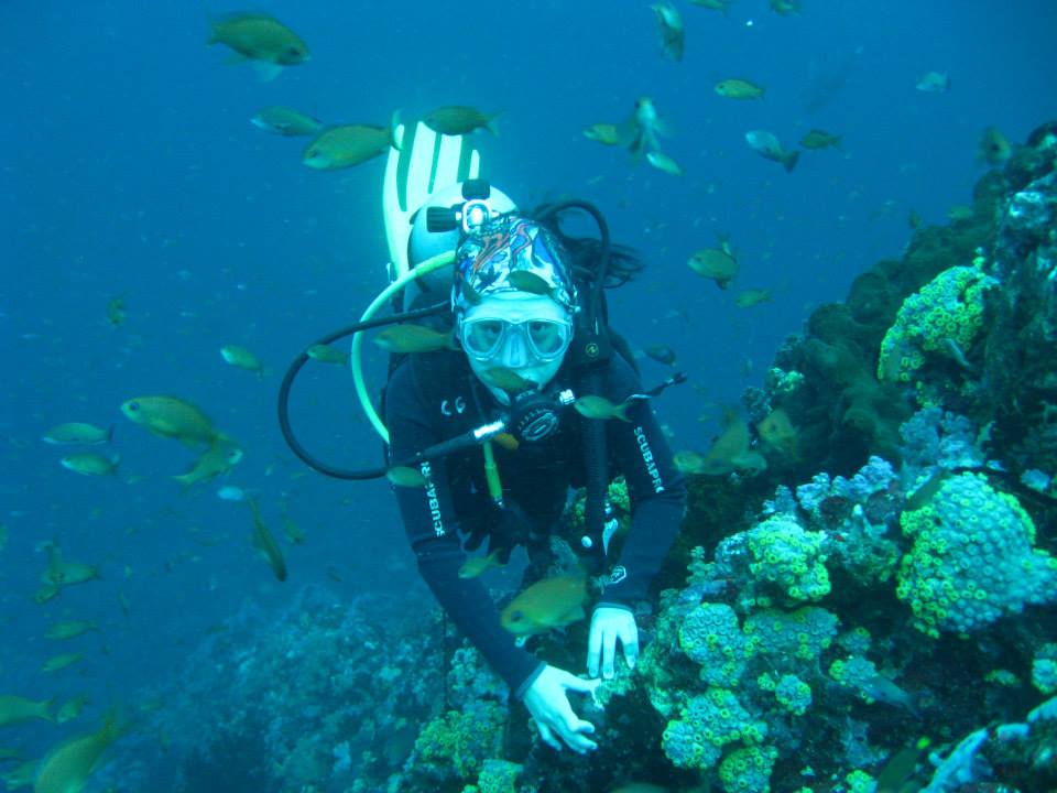 Diving in Verde Island, Philippines - Diving in Asia