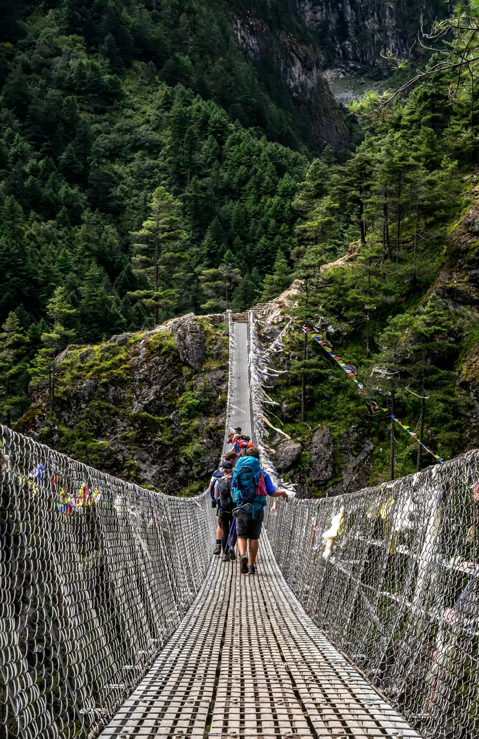 people with backpacks walking on bridge
