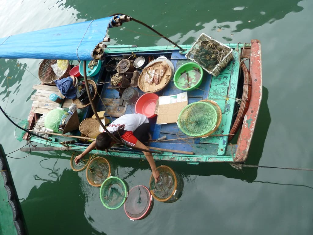 fresh-seafood-halong-bay