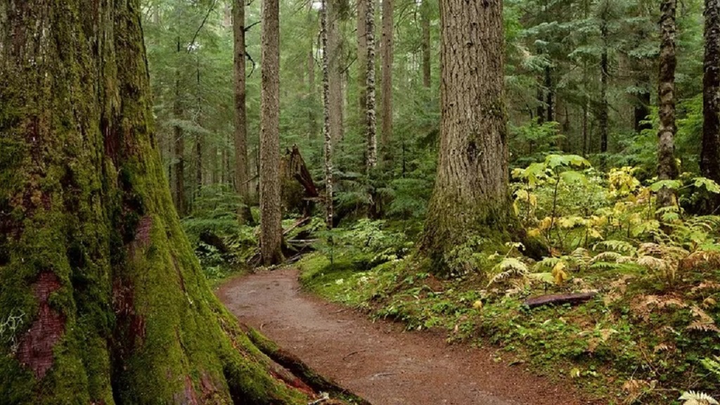 garibaldi-provincial-park