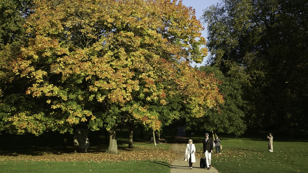 Hyde Park in London